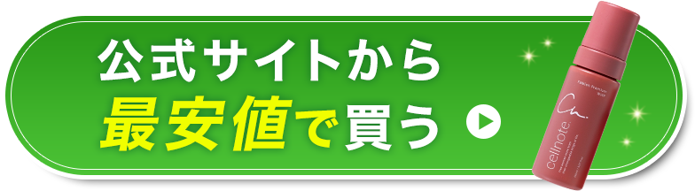 公式サイトから最安値で買う